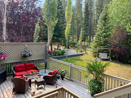 back yard trees and red chairs